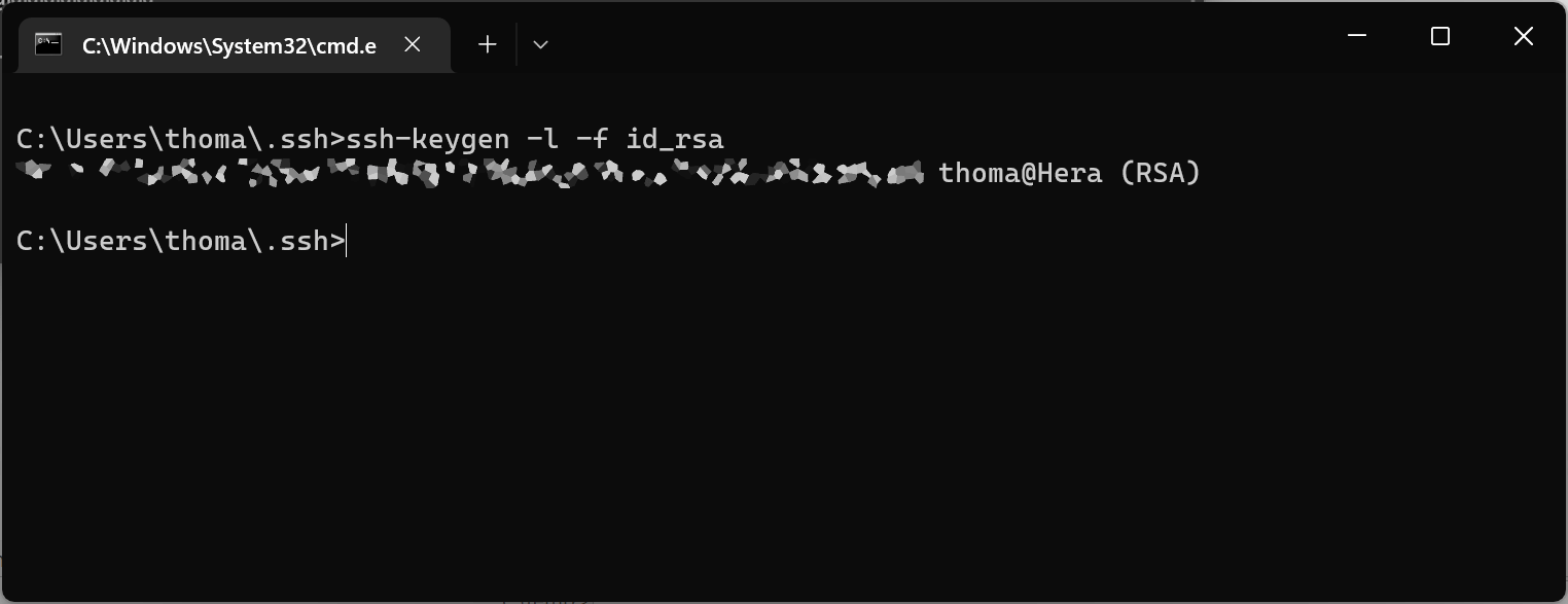 RSA